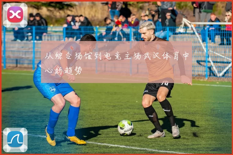 从综合场馆到电竞主场武汉体育中心新趋势